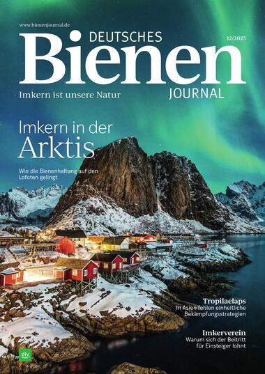 Deutsches Bienen-Journal 2025-11-21