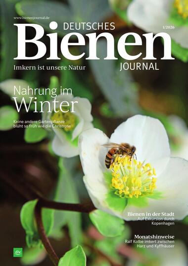 Deutsches Bienen-Journal 2025-12-18