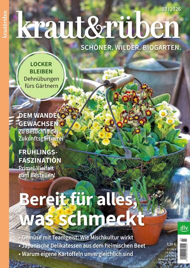 kraut&rüben 2026-02-11
