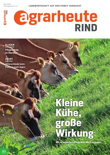 agrarheute Rind 2026-02-26