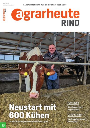 agrarheute Rind 2026-03-26