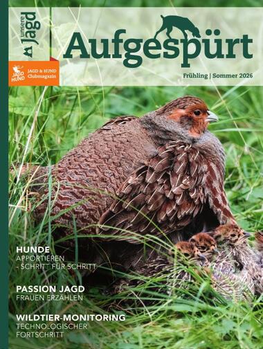Beilagen: PIRSCH 2026-03-30