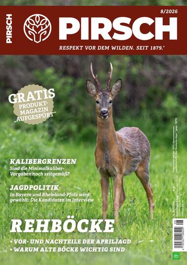 Pirsch 2026-04-10