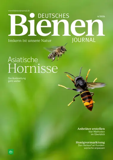 Deutsches Bienen-Journal