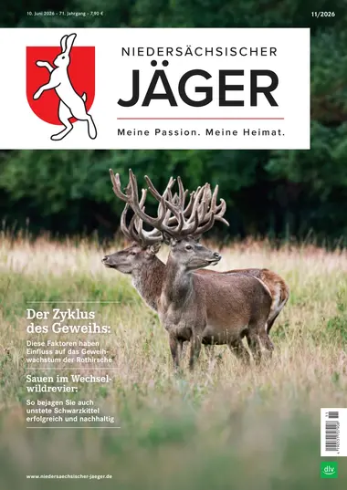 Niedersächsischer Jäger